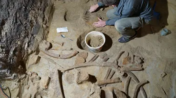 Objev mamutích kostí v Rakousku