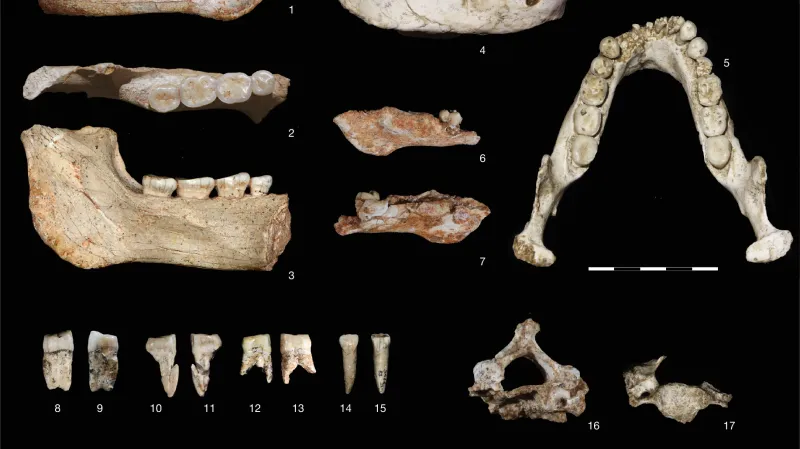 Nalezené kosti pravěkých lidí