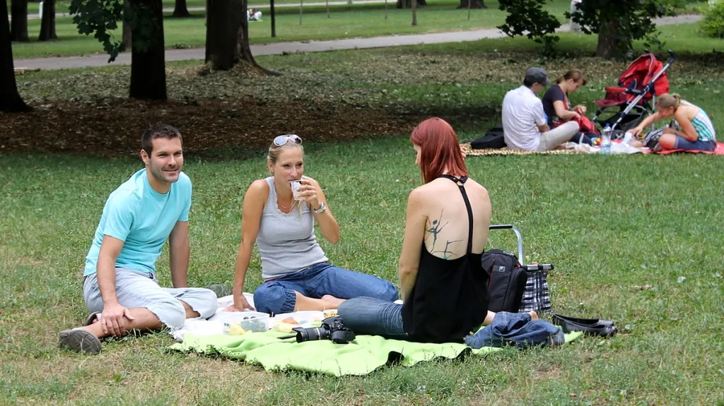 Hromadný piknik v Brně