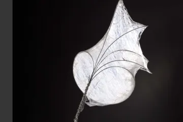 AVÍZO: Výstava Nanovariace na TU v Liberci