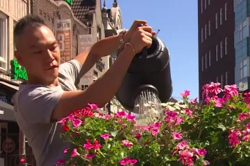 Vedra mění podobu evropských měst. Dlažbu v Eindhovenu vystřídala zeleň  