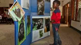 Kamerunské děti si učí o gorilách