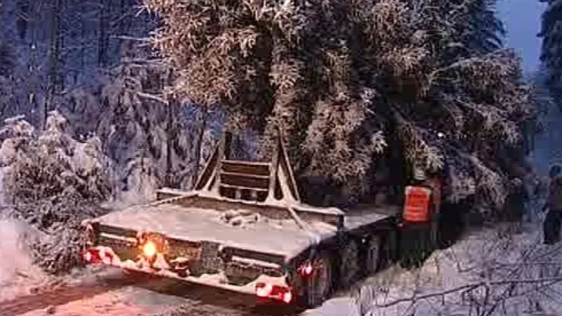 Vánoční strom pro Prahu