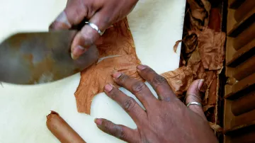 Ilustrační fotografie (výroba kubánského doutníku)