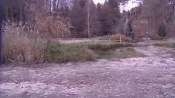 Rybník za plotem