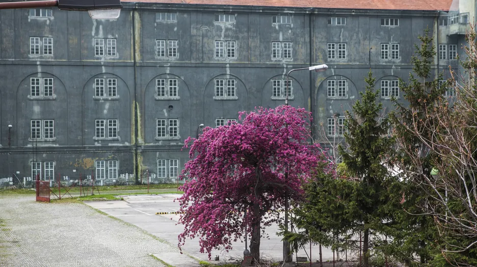 V pražském Karlíně se pracuje na ojedinělé proměně nevyužitých kasáren ve veřejně prospěšný projekt nebývalých rozměrů.
