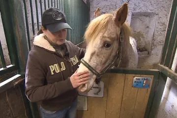 Ve Všechovicích jsou koně doma