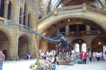 Obří dinosaurus trpěl explozivní rýmou. Paleontologové zjistili, že podobný problém trápí dnešní ptáky