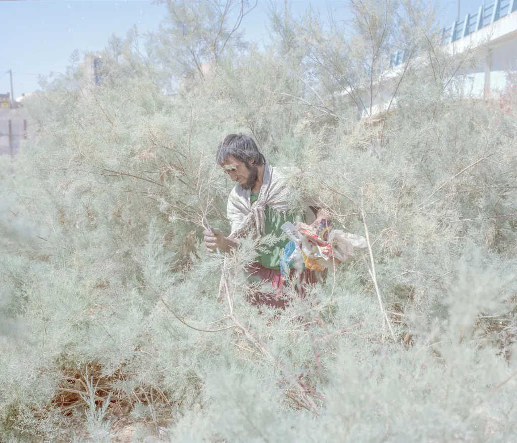 Hashem Shakeri (kategorie Dokument). „Rychlá změna klimatu v Balúčistánu přeměňuje kdysi úrodný kraj v neplodnou poušť. Lidé se zde živili zemědělstvím, chovem zvířat a rybolovem. Jejich životy byly závislé na jezeře Hamun, které v posledních letech vysychá, a v důsledku toho mizí i biologická rozmanitost regionu, který se vylidňuje.“