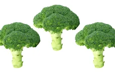 Jazykovědci našli trik, jak donutit děti jíst brokolici místo čokolády. Funguje v 82 procentech pokusů