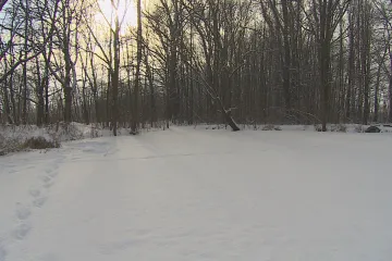 Holásecká jezera opět zamořily fekálie. Problémem je nejspíše bahno