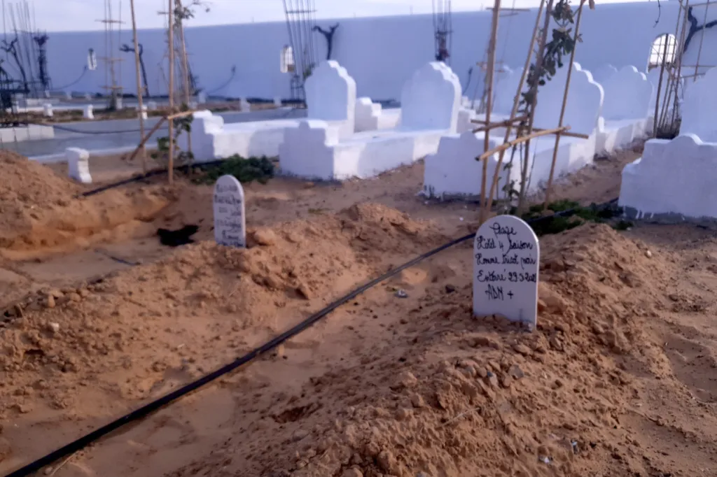 Každý náhrobek na hřbitově zobrazuje, pokud je známo, jméno zesnulého, datum jeho úmrtí a kód DNA dané osoby, který udává, zda jde o tělo muže, ženy nebo dítěte