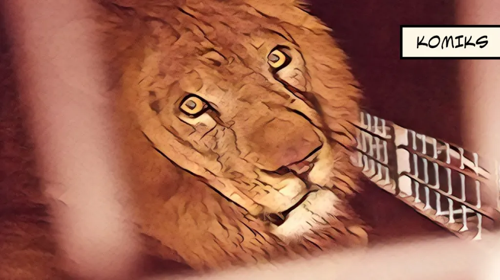 Pomoc zvířatům ve víru války