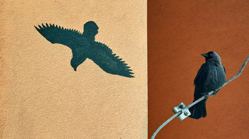 1. místo: Proč buřňák