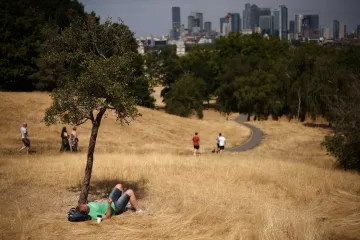 Británie se barví na okrovou. Letní vlny veder rekordně vysoušejí půdu