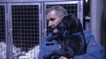 O adopci chrtů z Irska je v Česku zájem