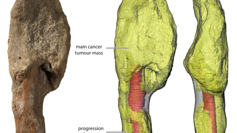 Rakovina u dinosaura