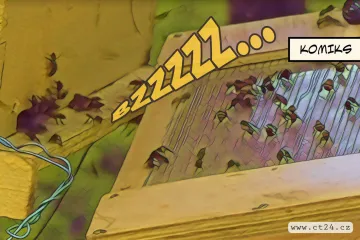 Keňští včelaři objevili zdroj příjmů. Sbírají jed, který se používá v alternativní medicíně