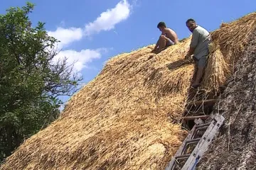 Kyselé deště, nepřítel doškových střech