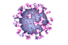 Nové léky zacílí na stabilnější část koronaviru, říká evoluční virolog Černý