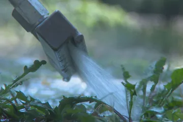 Běžné přípravky proti plevelu svědčí bakteriím odolným vůči antibiotikům, naznačili vědci
