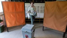 Volby v Česku