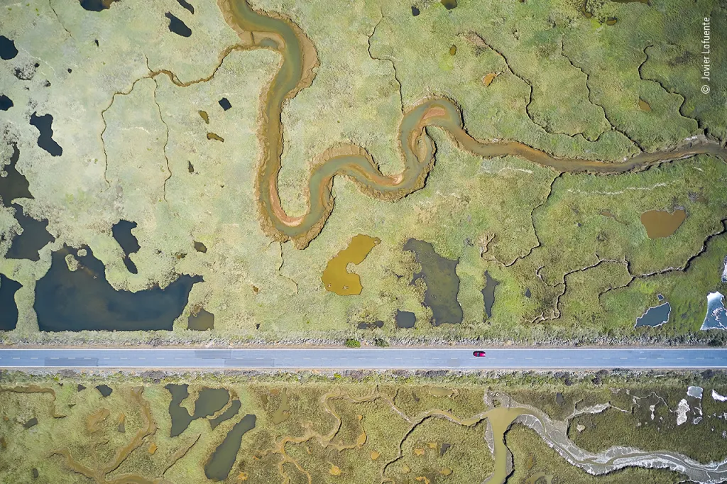 Vítězem v kategorii Mokřady se stal Javier Lafuente ze Španělska s fotografií, která z dronu zachycuje silnici, jež protíná deltu řeky Ebro ve Španělsku