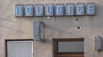 Holubice