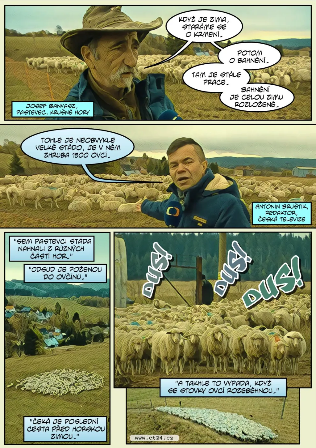 Pastevci se připravují na zimu a zahnali stáda ovcí z luk do stájí