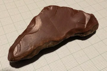 Na Turnovsku se našla neandertálská osada. Objev je ve střední Evropě unikátní