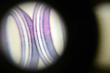 ČNB je stále na vlně intervencí. V září ji oslabování koruny stálo 63 miliard