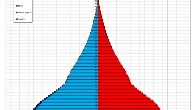 Věková pyramida Nigérie
