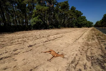 Evropu přiklopí tepelná kupole, opět přijdou rizikové čtyřicítky
