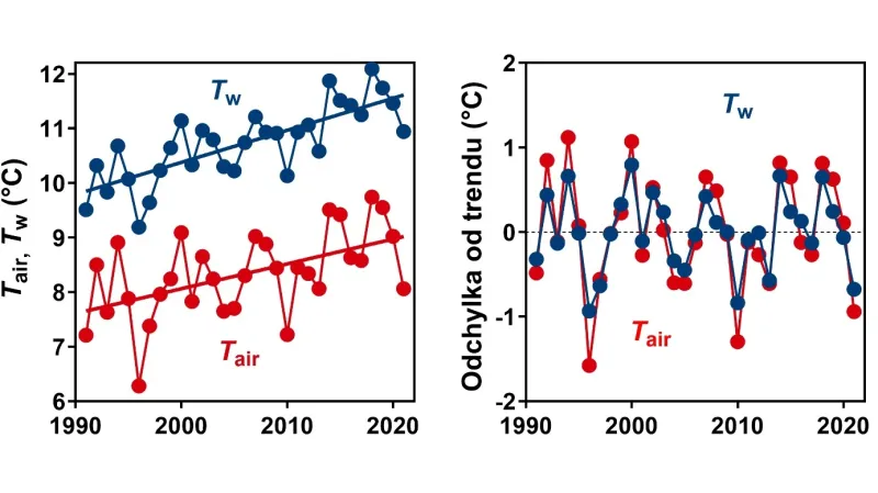 Dlouhodobé trendy vývoje průměrné teploty vzduchu (červeně) a teploty vody (modře) v období 1991–2021. Z obou grafů je dobře patrné, že průměrná roční teplota vody se měnila v závislosti na teplotě vzduchu.