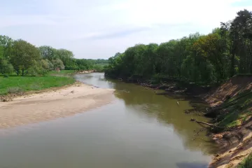 Dobrovolníci vyčistili o víkendu řeku Moravu od odpadů