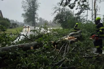 Bouřky na některých místech zaplavily silnice. Hasiči odklízejí popadané stromy