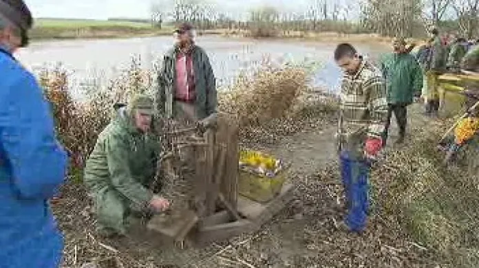 Řisutský rybník na Slánsku se dočkal svého prvního výlovu po velké rekonstrukci.