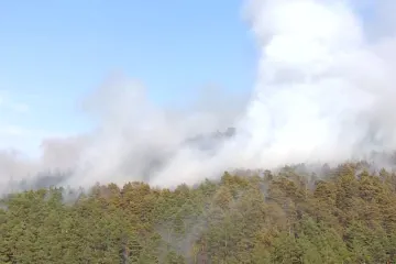 Na Klatovsku hoří les, zasahují desítky hasičů