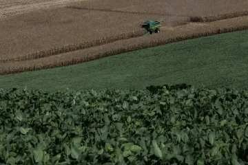 Amazonský prales mizí i kvůli evropské poptávce po sóji, vyplývá ze zprávy