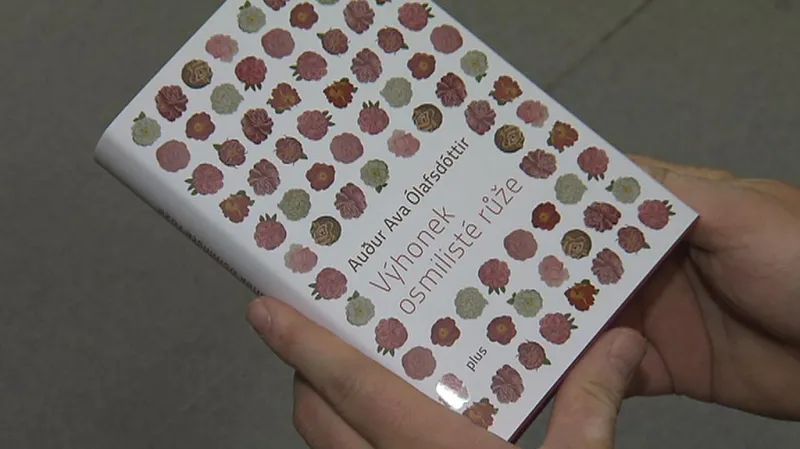 Adur Ava Ólafsdóttir / Výhonek osmilisté růže