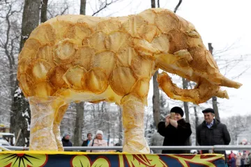 Týden obrazem: Slon z palačinek, pivní jóga a kobří krev