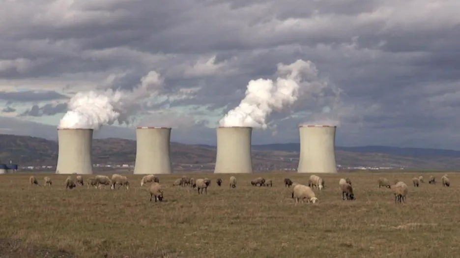Ovce u elektrárny Tušimice zachraňují vzácné motýly