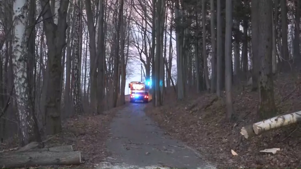 Hasiči odjíždějí po odstranění padlého stromu ze silnice