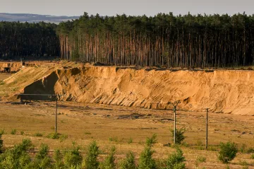 Poušť v Česku? Nejvzácnější je rovnou Sahara. Ta moravská