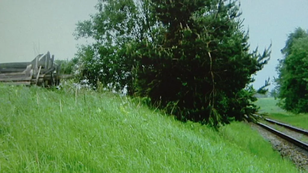 Výhled na trať zakrývá strom