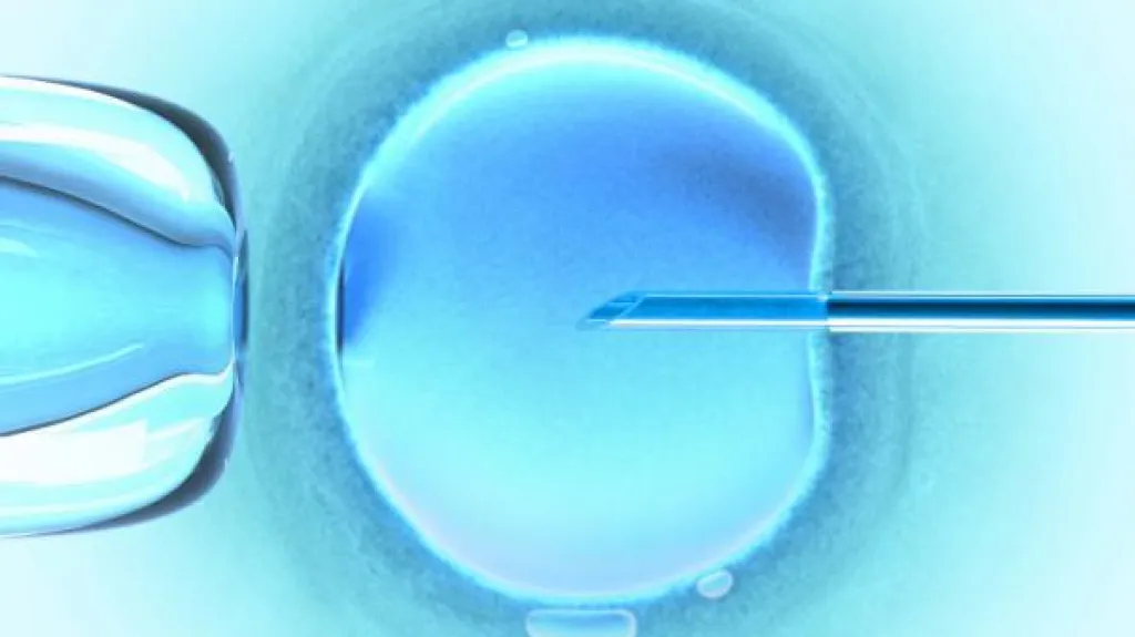 Embryonální kmenová buňka