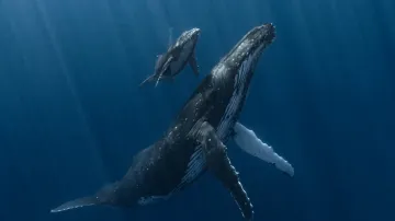 Vítězný snímek soutěže