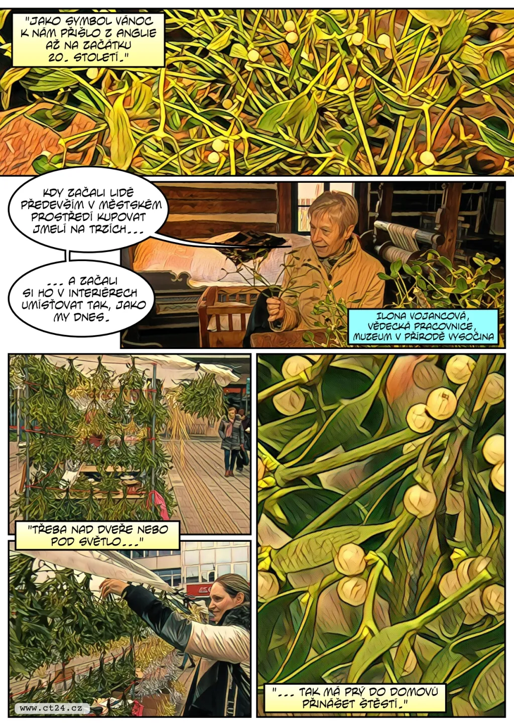 Stromolezci šplhají pro jmelí