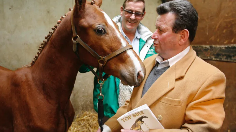 Jeden z prvních naklonovaných závodních koní