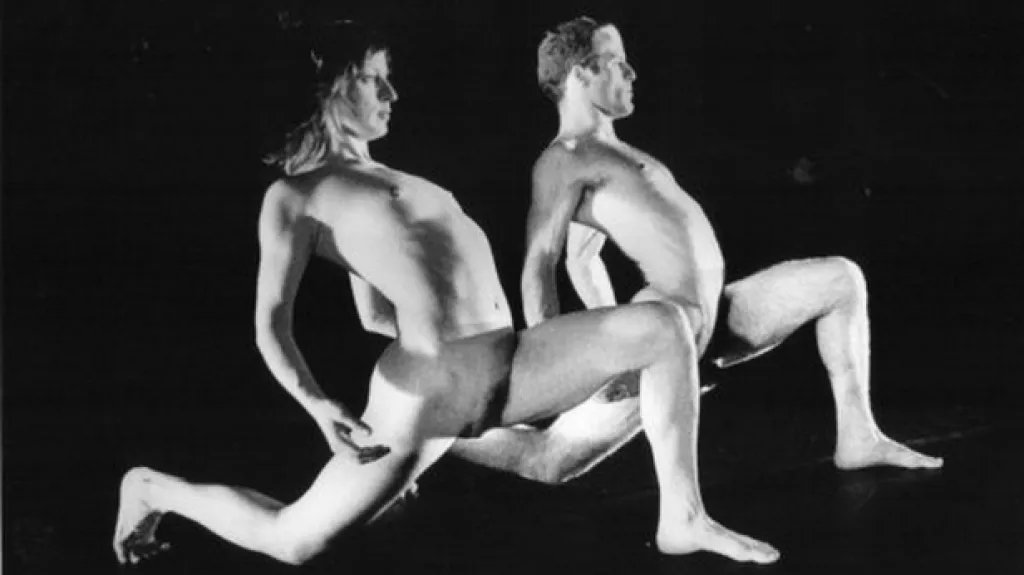 The Modesty of Icebergs (Cudnost ledovců)